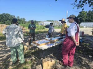 Pest Walk 3 Urban Edge