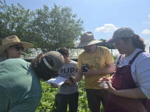 Pest walk 3 at Urban Edge