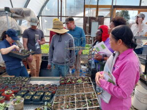 Scouting in propagation high tunnels at Good Earth farm