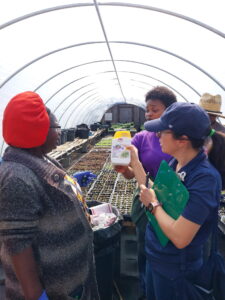 Use of biopesticides for the control of insects