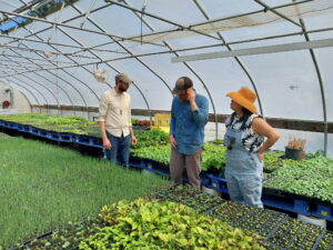 Scouting for insects and plant diseases and other plant health problems