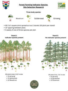 Planting plan