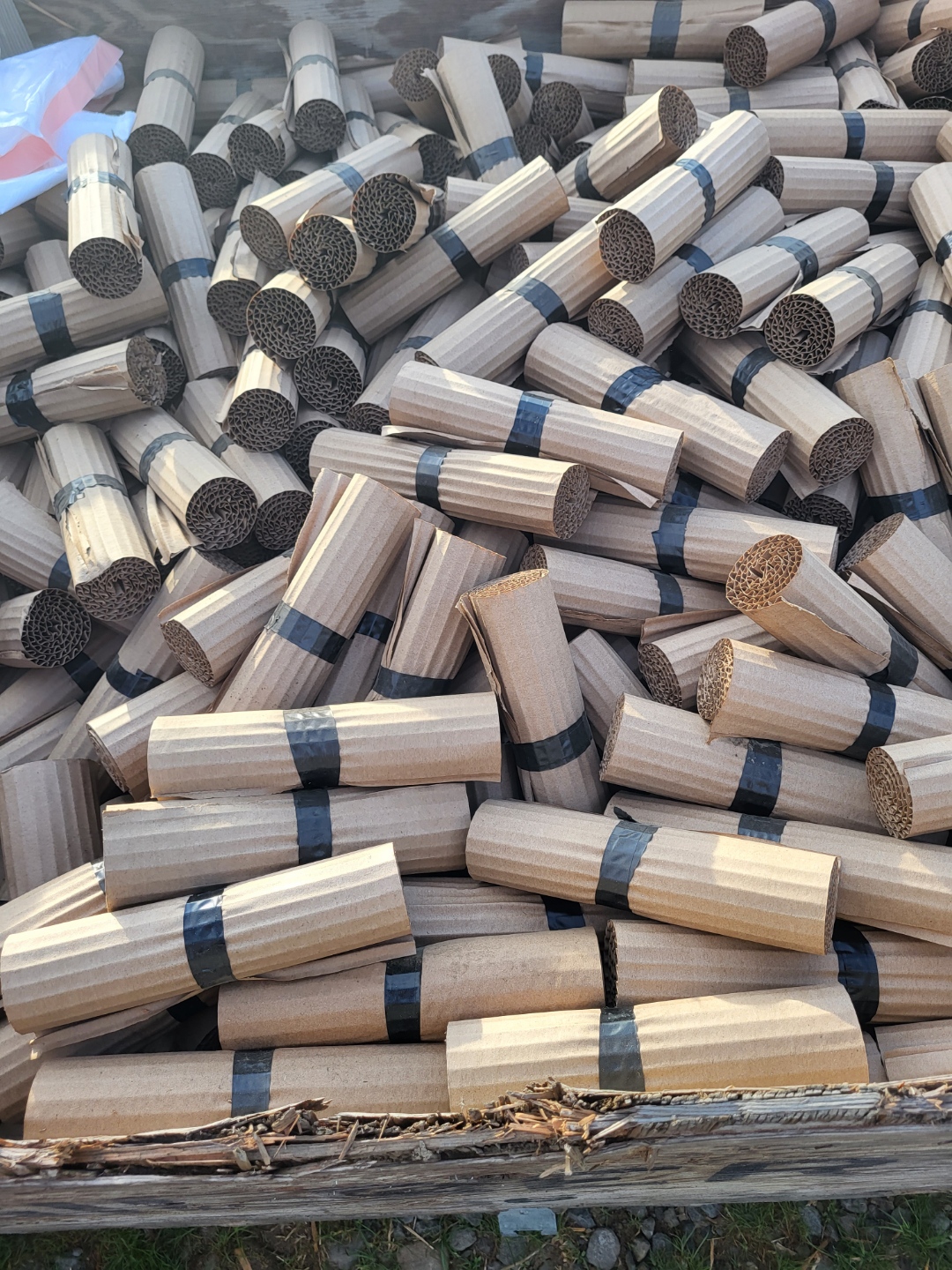 large pile of cardboard earwig traps
