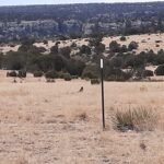 Location of Kidding Pastures
