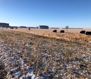 2020 Knuth Site Grazing 2