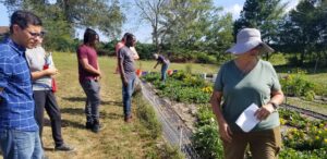 Field Day at Carniola Farms. Demonstration of SARE strawberry research
