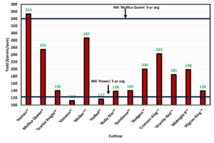 Yield of 13 different hybrid cultivars planted at the UMass Cranberry Station as part of the cultivar evaluation study (Year 3). Mullica Queen is the control.