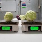 Farao Comparison