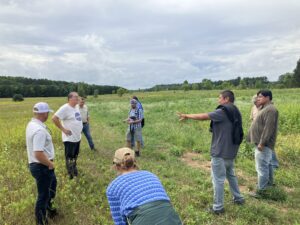 People examining cover crops