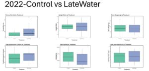 Plots illustrating various parameters—including upright ratio, leaf area index, berry weight, rot percentage, total anthocyanin content, and yield—comparing late water and unflooded control sites during the 2022 growing season.