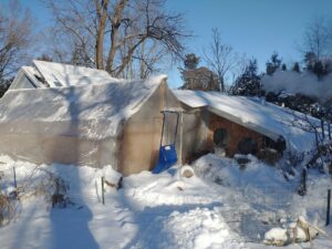 2021-22 Winter Polytunnel