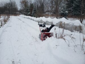 Using a snowblower to increase fig tunnel insulation value. 