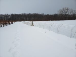 Snow cover at the Dresden fig tunnel.