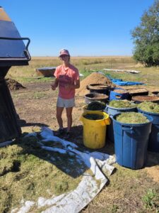 measuting out each compost ingredient for correct ratio