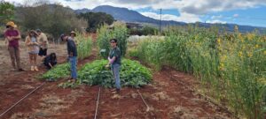 CoverCropFieldDay