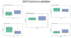 Plots illustrating various parameters—including upright ratio, leaf area index, berry weight, rot percentage, total anthocyanin content, and yield—comparing late water and unflooded control sites during the 2023 growing season.