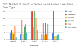 This chart describes the number of herbivorous insect pests found in various cover crop plots on Brown Dog Farm during the summer of 2023.