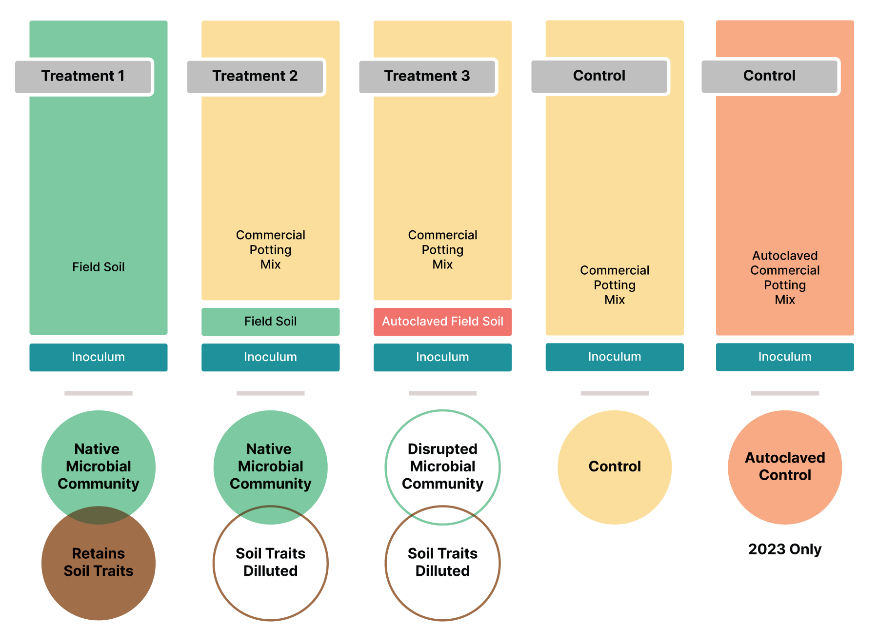Figure 2. Treatment 1 (PM1) retains the native soil microbial community and the soil traits (pH, texture, chemistry, etc), Treatment 2 (PM2) retains the native soil microbial community and dilutes the soil traits, Treatment 3 disrupts the native soil microbial community and dilutes the soil traits. Control 1 uses a commercial potting mix and Control 2 uses the same commercial potting mix, but it is autoclaved to disrupt the microbial community present in the mix. Control 2 was used in 2023.