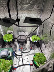 hydro toms