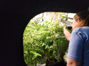 hydro toms