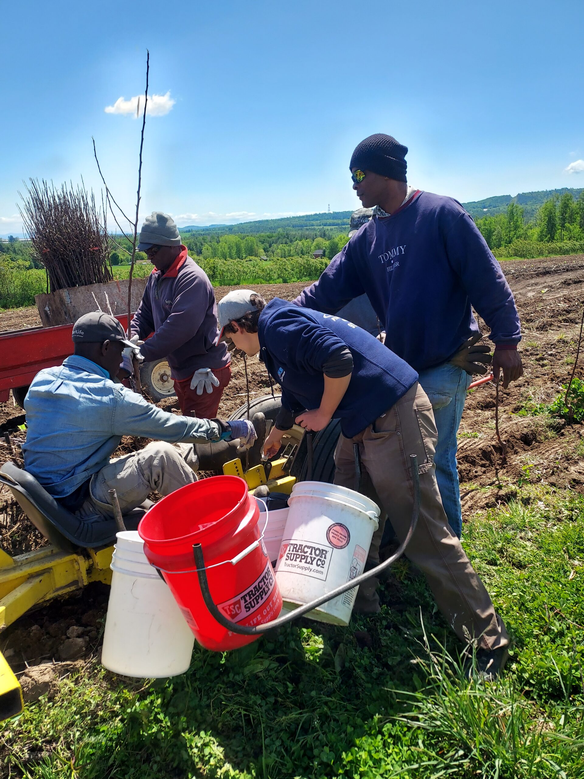 Men around a tree planter in a field. Three buckets are at the side of the planter.