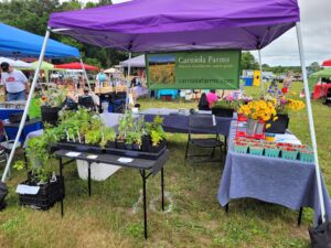 Wicomico County MD Strawberry Festival 2023