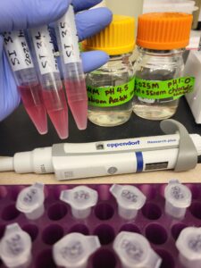 Sample extracts after Anthocyanin Extraction