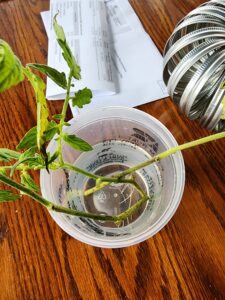 root toms