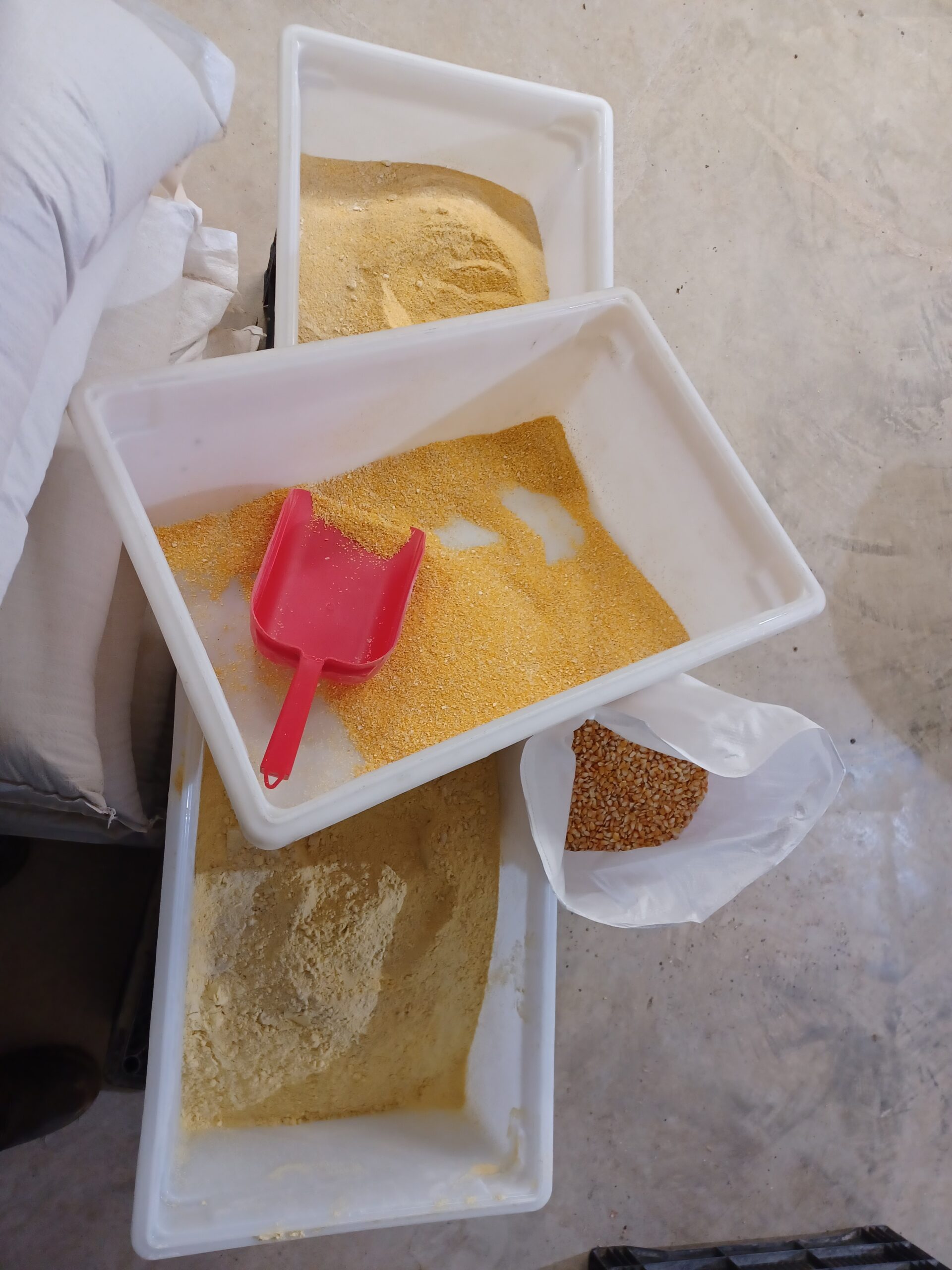 Corn Grits, Cornmeal, Corn Flour