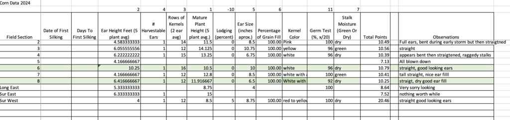 2024 Corn Data