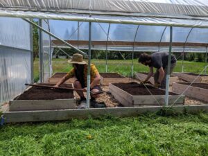 Students filling experimental beds with soil.