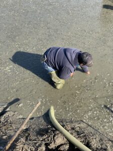 Working to harvest the fish