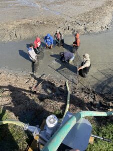 Working to harvest fish
