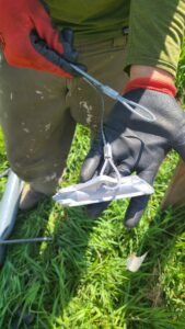 Photo of a duckbill anchor.