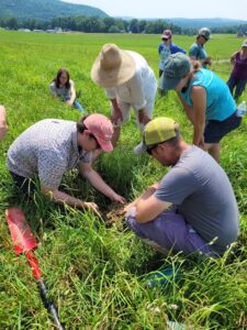 soil health