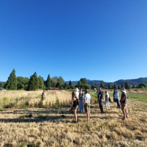 Farmers in field observing 4 different grains growing in the field