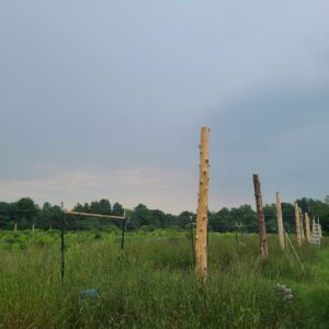 Photo showing installed cedar posts