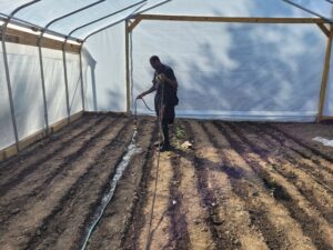 Mentee preparing beds for production in high tunnel