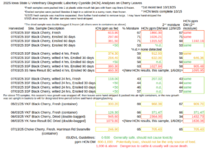 ISU VDL 2025 data, Cyanide in Cherry Leaves,, Young, Fresh, Ensiled & Dried plus Choke Cherry