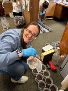 Research technician holding a deli container of waxworms to add to other deli containers of soil in an office setting.