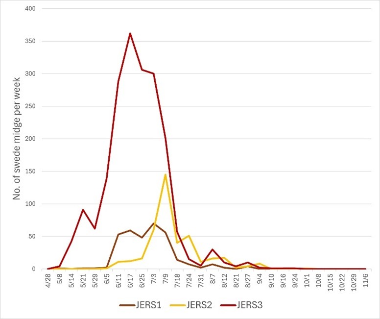 Line graph of swede midge captures at Journey's End Refugee Services farm, with different colored lines showing three different traps.