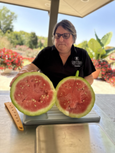 Odell's White Watermelon Tasting 9/19/2025