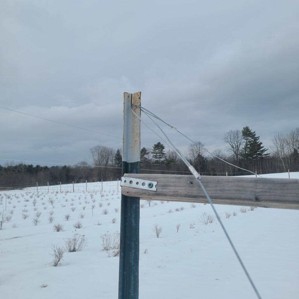 Photo of crimped loops in high tensile wire and the notch cut into the t-post.