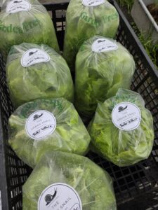 market lettuce