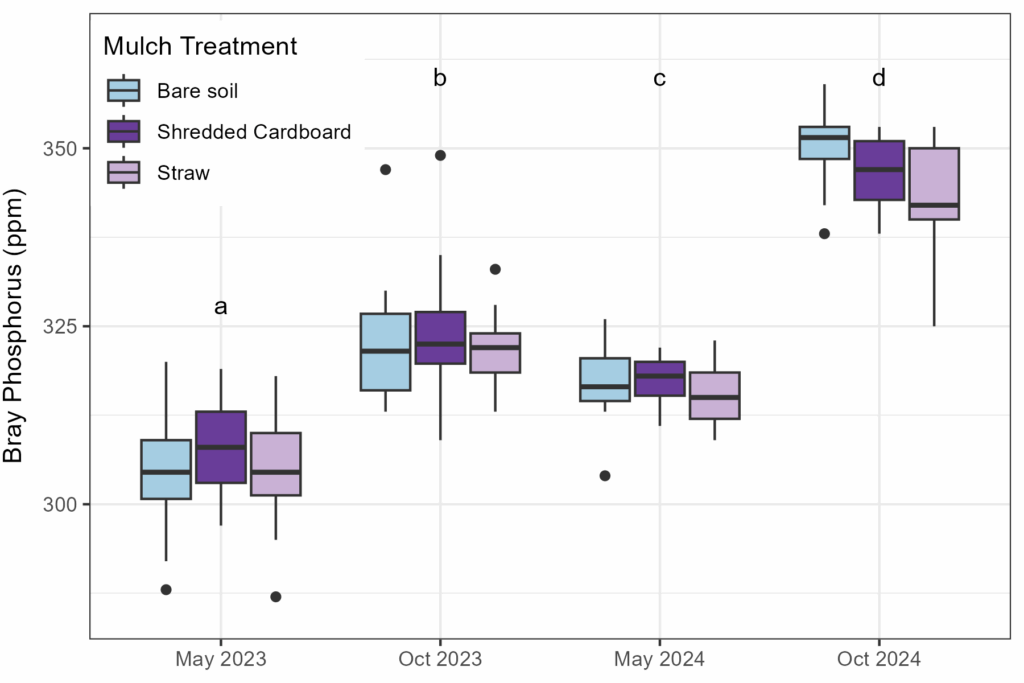 Bray P concentrations for controlled plots on the St. Paul campus in 2023 and 2024, split by treatment.