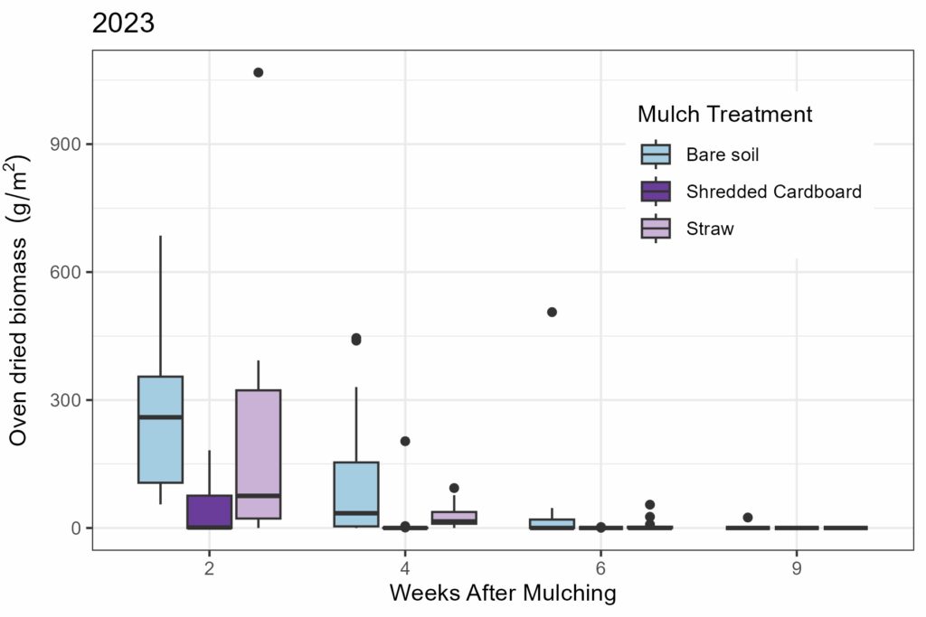 Weed biomass expressed in mass per 1m2 for controlled plots on the St. Paul campus in 2023, split by treatment.