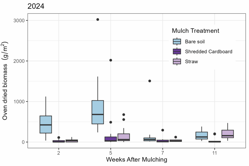 Weed biomass expressed in mass per 1m2 for controlled plots on the St. Paul campus in 2024, split by treatment.