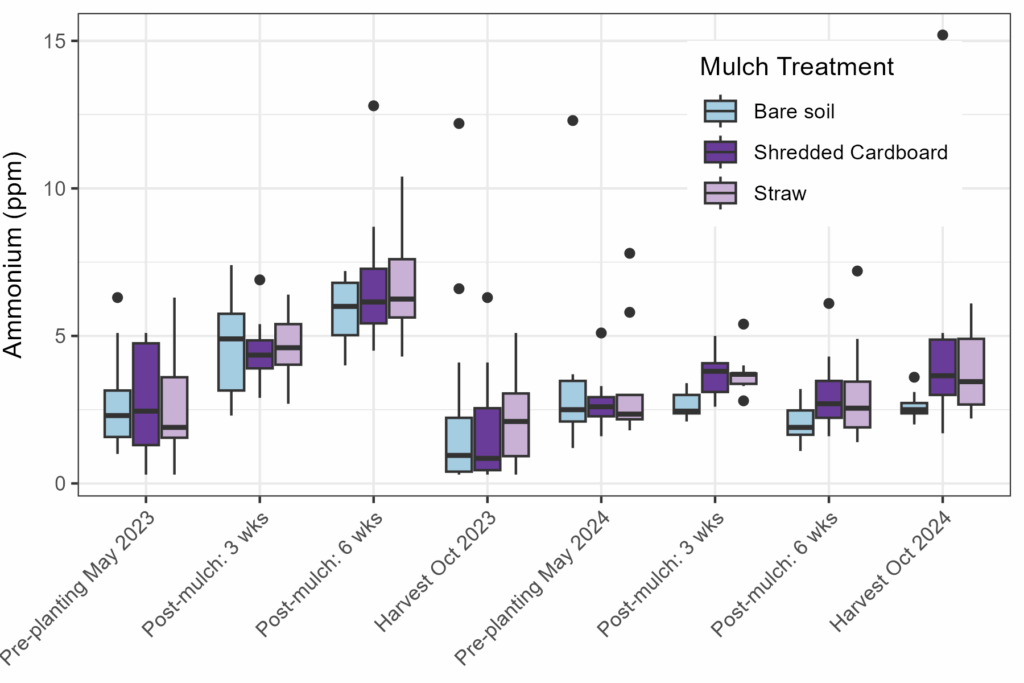 Ammonium concentrations for controlled plots on the St. Paul campus in 2023 and 2024, split by treatment.