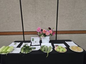 UMES facilitated hands-on demonstrations on cut flower production and Asian ethnic vegetable cultivation, accompanied by distribution of informative factsheets to veteran farmers