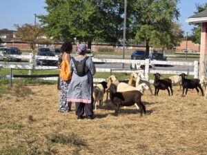 Veteran farmers engaging with sheep and goats at the UMES farm—learning and fun combined.